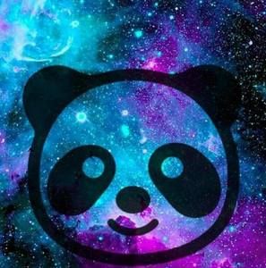 Meet your Posher, Luis